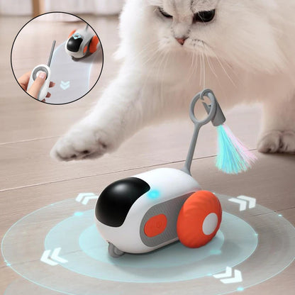 Interactive cat car with remote control and USB charging function