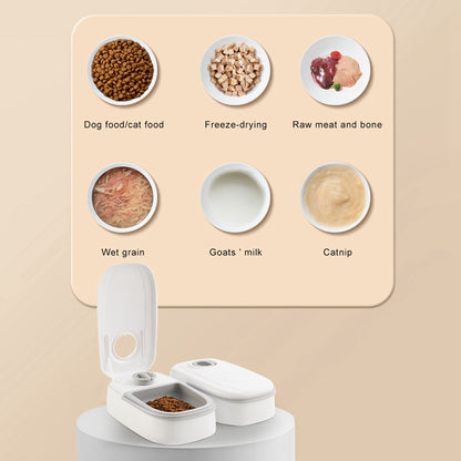 Automatic feeder with timer for cats and dogs