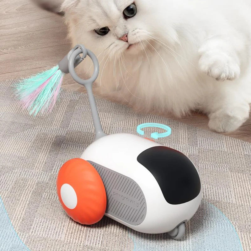 Interactive cat car with remote control and USB charging function