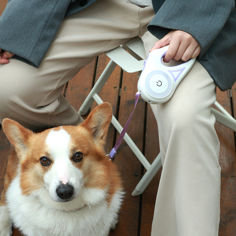 Retractable dog leash and collar