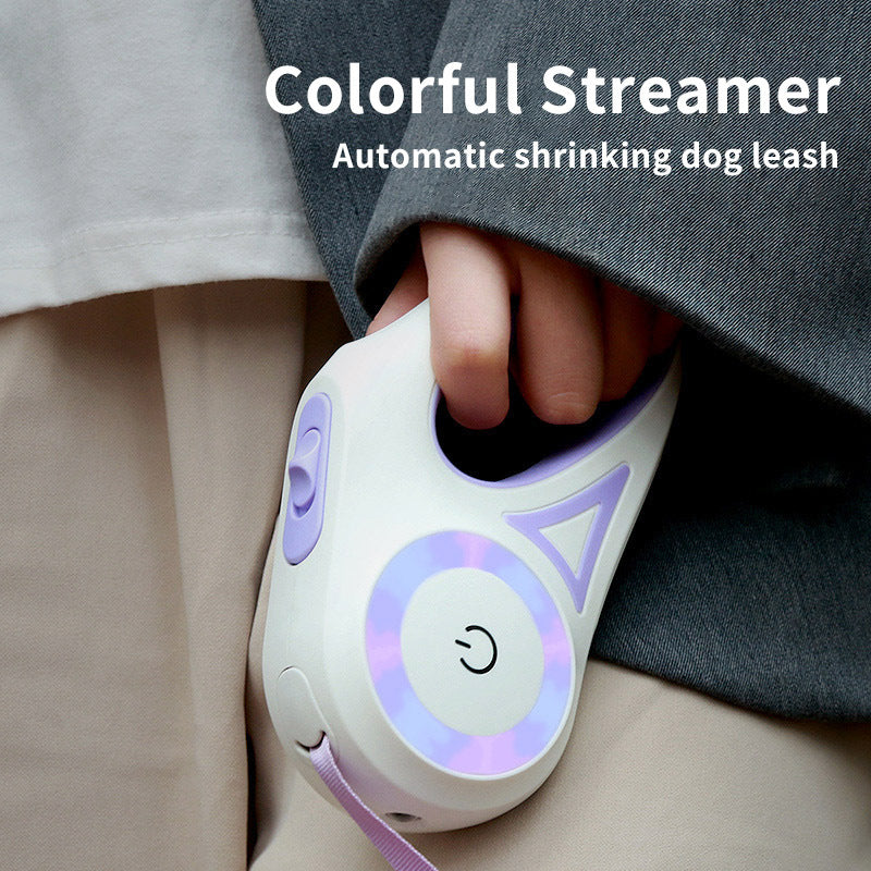 Retractable dog leash and collar