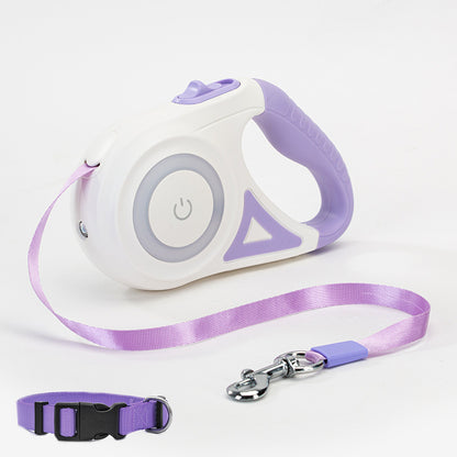 Retractable dog leash and collar