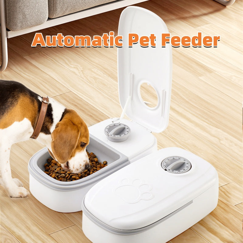 Automatic feeder with timer for cats and dogs