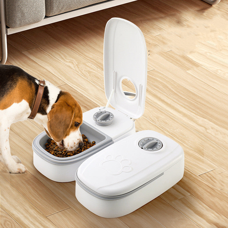 Automatic feeder with timer for cats and dogs